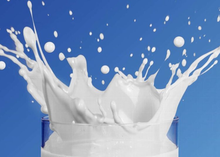 Leche, un alimento que acelera la recuperación del corredor
