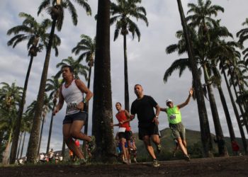 ¿Hay que ingerir alimentos inmediatamente después de entrenar?
