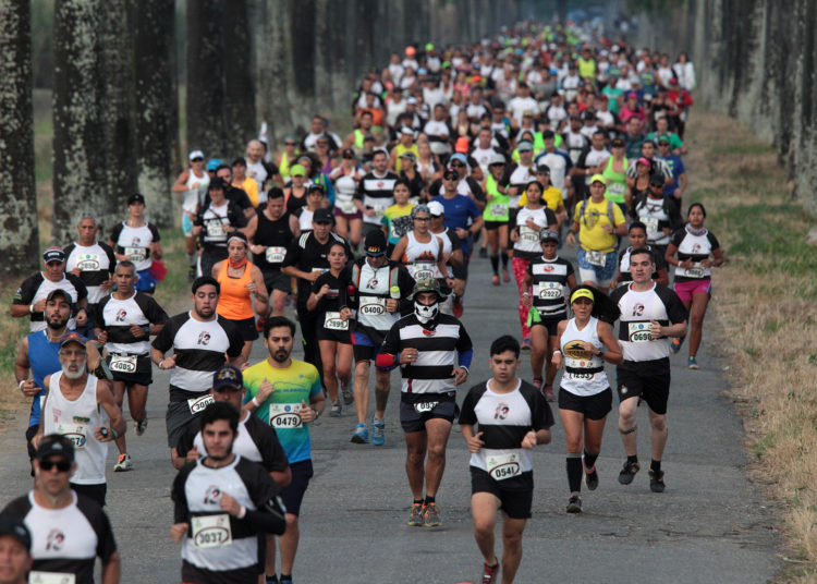 La edición de 2107 contó con la presencia de unos 4 mil corredores/Cortesía