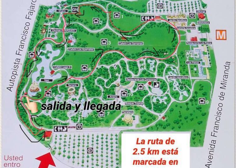 Dos vueltas de 2,5K conforman carrera a beneficio de Silvana Navas