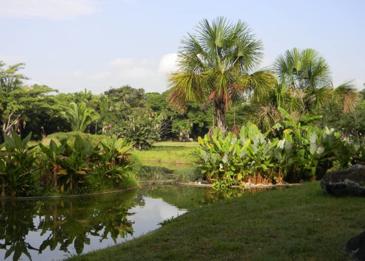 Parque del Este, avenida Francisco de Miranda, Caracas/@ParqueGFM