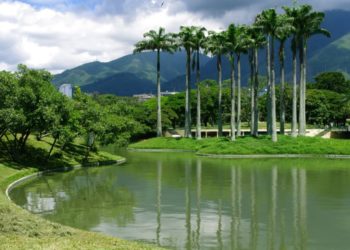 El Parque del Este es uno de los principales espacios de recreación de Caracas y Miranda/Cortesía