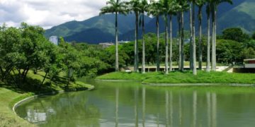 El Parque del Este es uno de los principales espacios de recreación de Caracas y Miranda/Cortesía