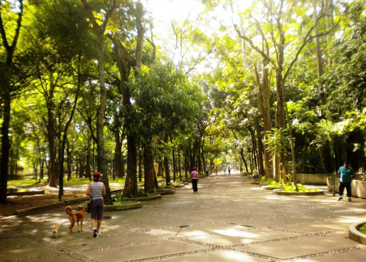 Las instalaciones del Parque Los Caobos es uno de los espacios que los caraqueños usan para ejercitarse/Cortesía