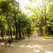 Las instalaciones del Parque Los Caobos es uno de los espacios que los caraqueños usan para ejercitarse/Cortesía