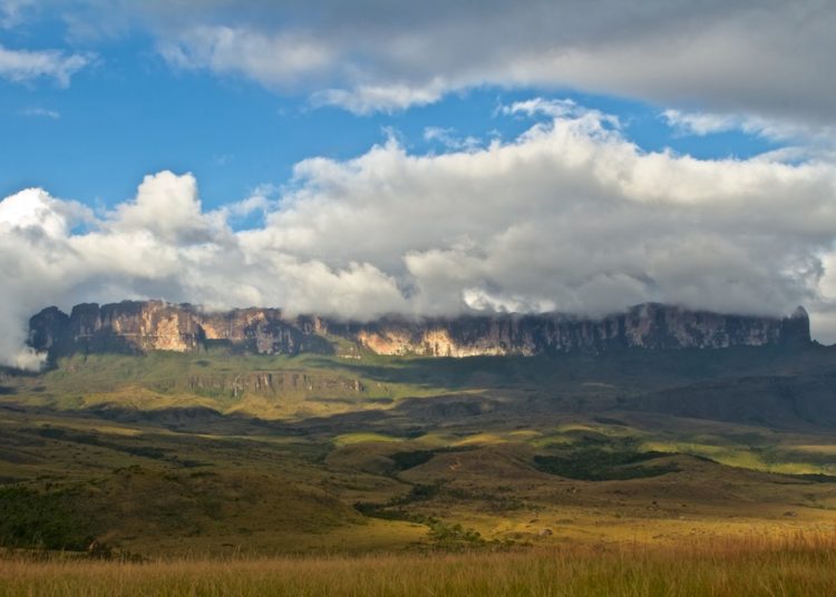 La primera de las cinco pruebas será en las milenarias y míticas tierras de la Gran Sabana/Lapequecomeflor.com
