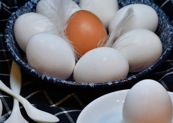 Las proteínas, claves para enfrentar lesiones/Pixabay