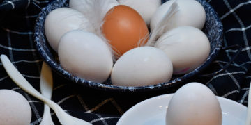 Las proteínas, claves para enfrentar lesiones/Pixabay