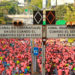 Unos 8.500 corredores salieron a partir de las 7 am para recorrer 10K/Cortesía