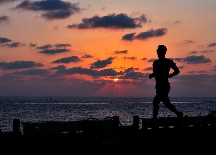 El trote muy suave constituye la esencia del entrenamiento regenerativo/Pixabay