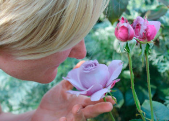 Pérdida de olfato, síntoma precoz del COVID-19