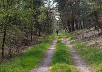 Correr en solitario en tiempos de coronavirus