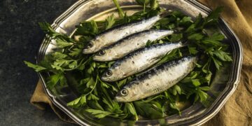 Sardinas ricas en omega 3
