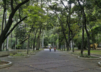 A punta de pistola asaltan a corredor en el Parque Los Caobos