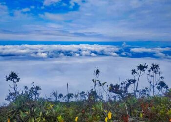 Y hoy no salió tocar el cielo