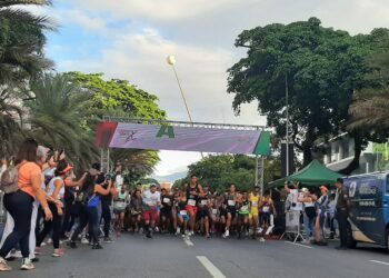 Farma 10K