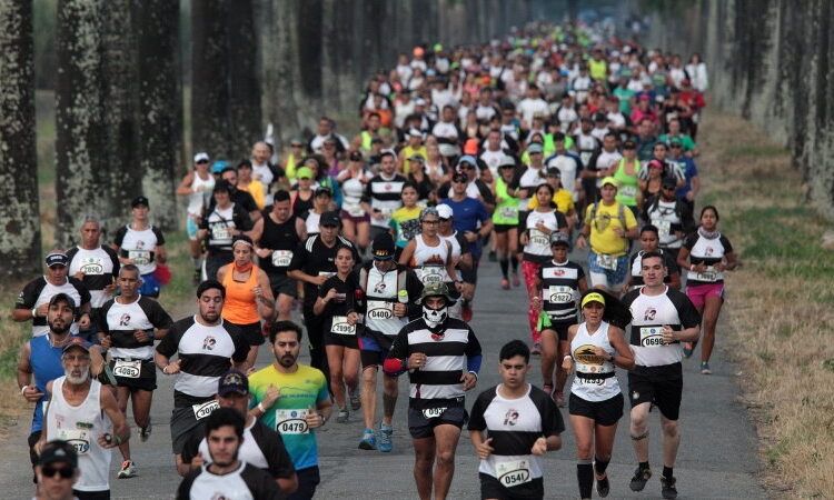 Race 13K Hacienda Santa Teresa